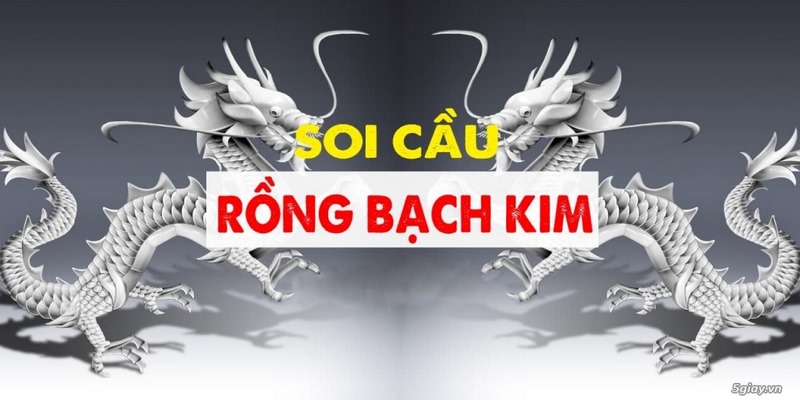 Khái quát về cách soi cầu Rồng Bạch Kim